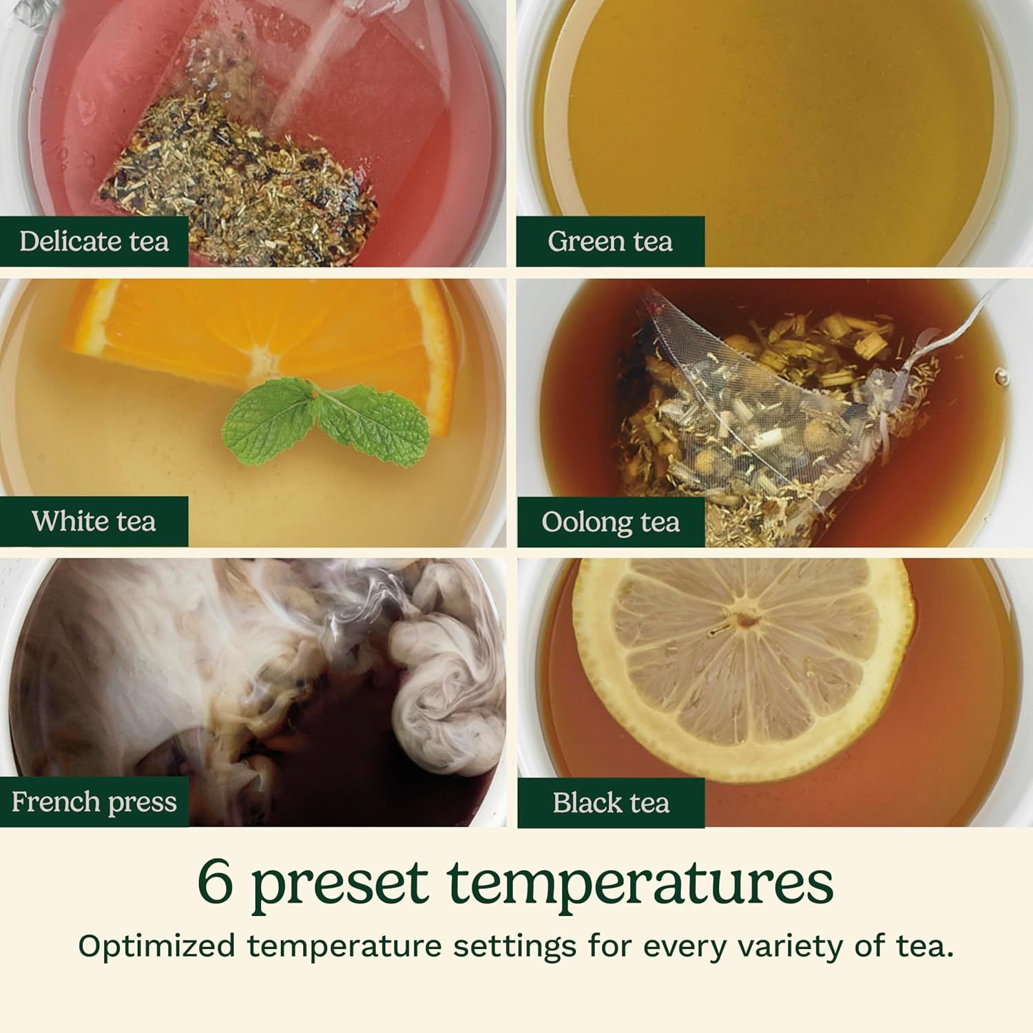 Demonstrates the product's versatility by showing it can brew 6 different types of tea (Delicate, Green, White, Oolong, French Press, Black) with optimized…
