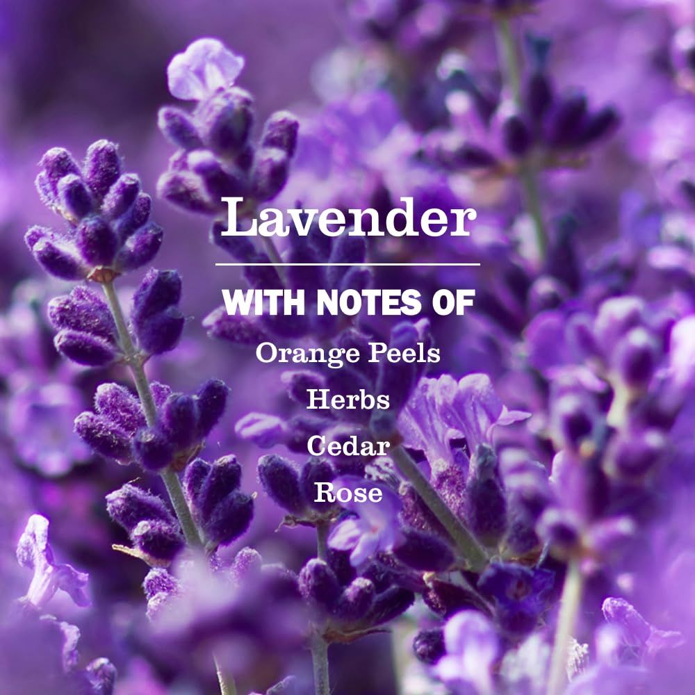 Communicates the product's lavender fragrance composition with complementary scent notes to help shoppers understand the aromatic experience.