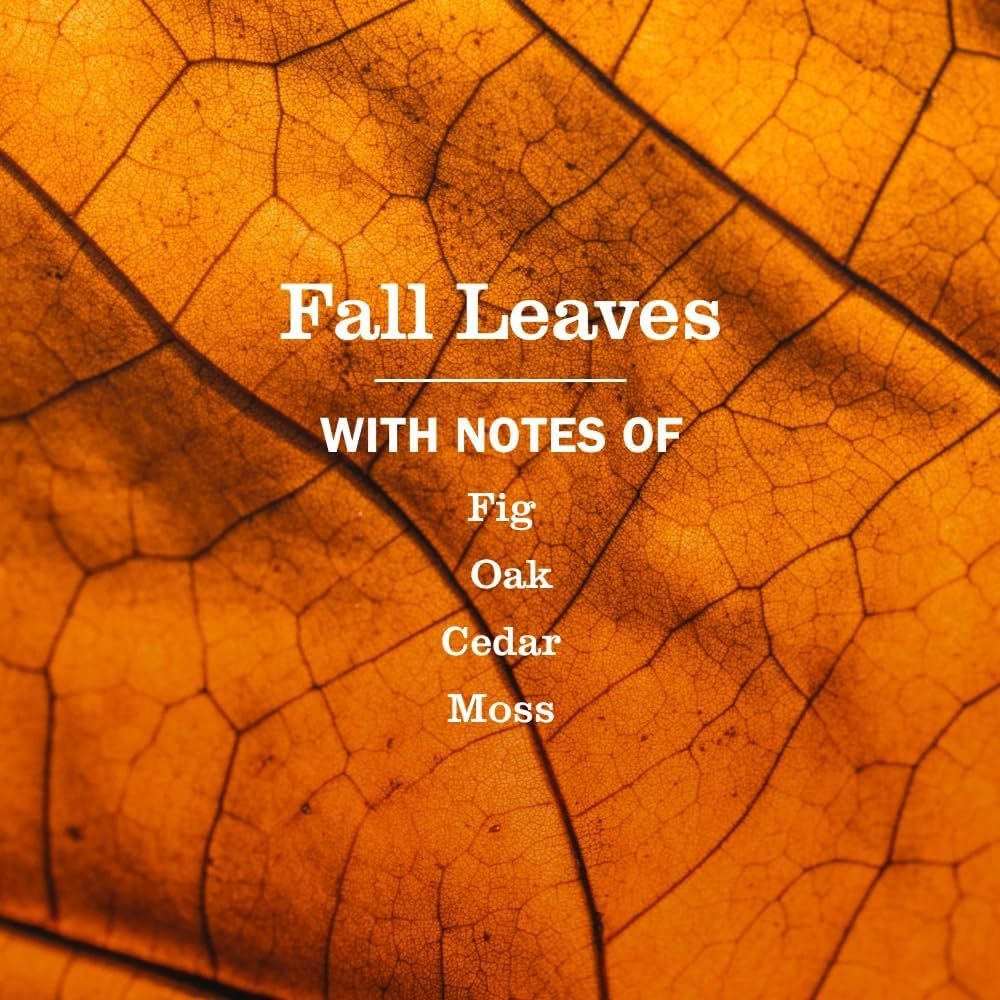 Communicates the seasonal autumn theme and scent notes of the product to appeal to shoppers looking for fall-themed fragrances. Describes the fragrance profile with specific scent notes to help…