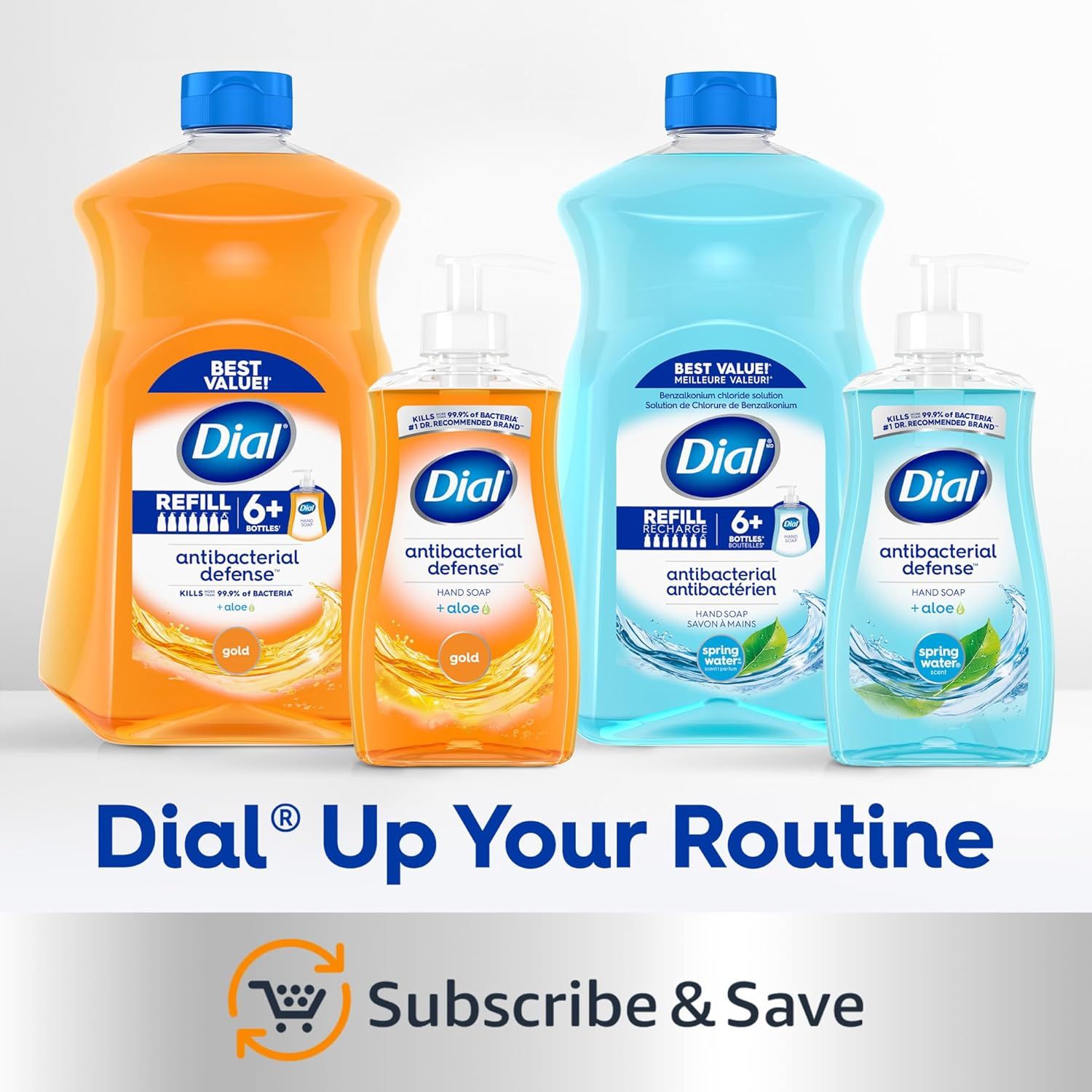 Showcases the Dial brand's product lineup (refill bottles and hand soap in multiple scents) while promoting the Subscribe & Save convenience program to encourage recurring purchases.