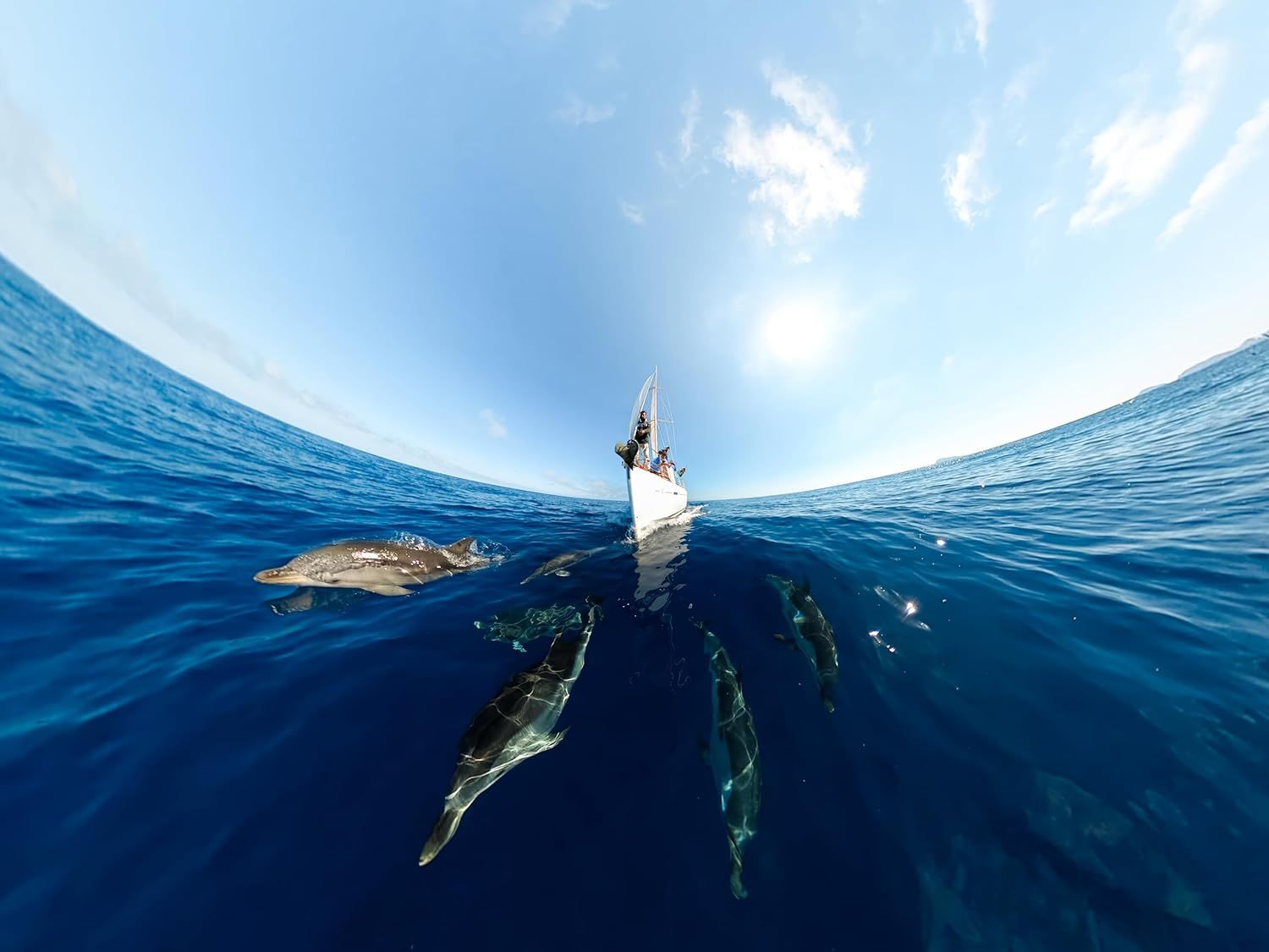 Showcases the product in an aspirational real-world ocean setting with marine life, creating emotional appeal and demonstrating the product's use in adventure…