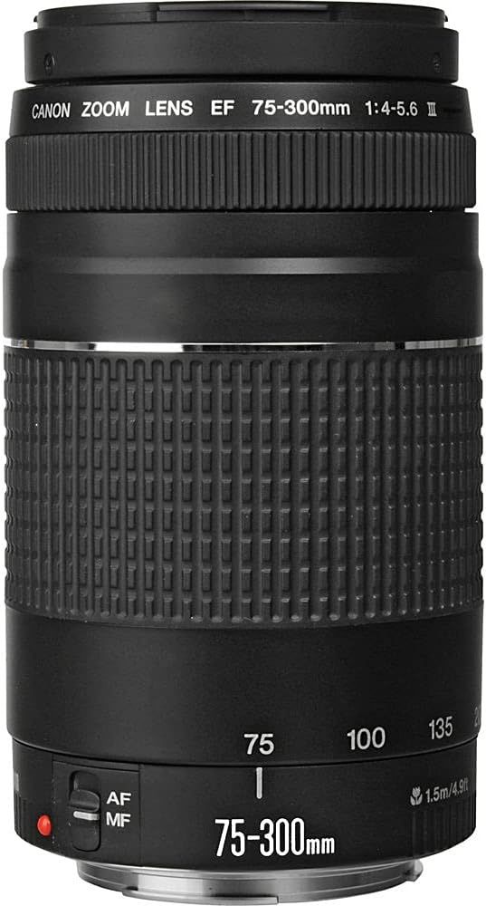 Provides a clean, catalog-style view of the Canon zoom lens on a white background with no text overlays or design elements, allowing shoppers to see the…
