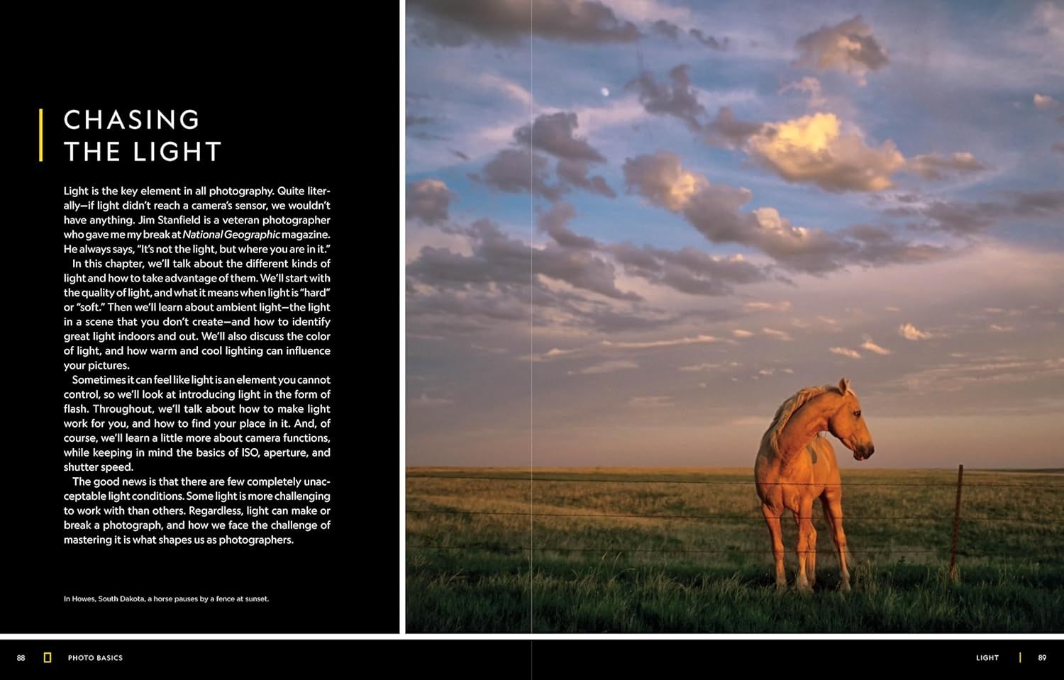 Showcases the product in a beautiful real-world setting with dramatic natural lighting to create an aspirational, artistic mood and demonstrate the product's capability in capturing stunning outdoor…