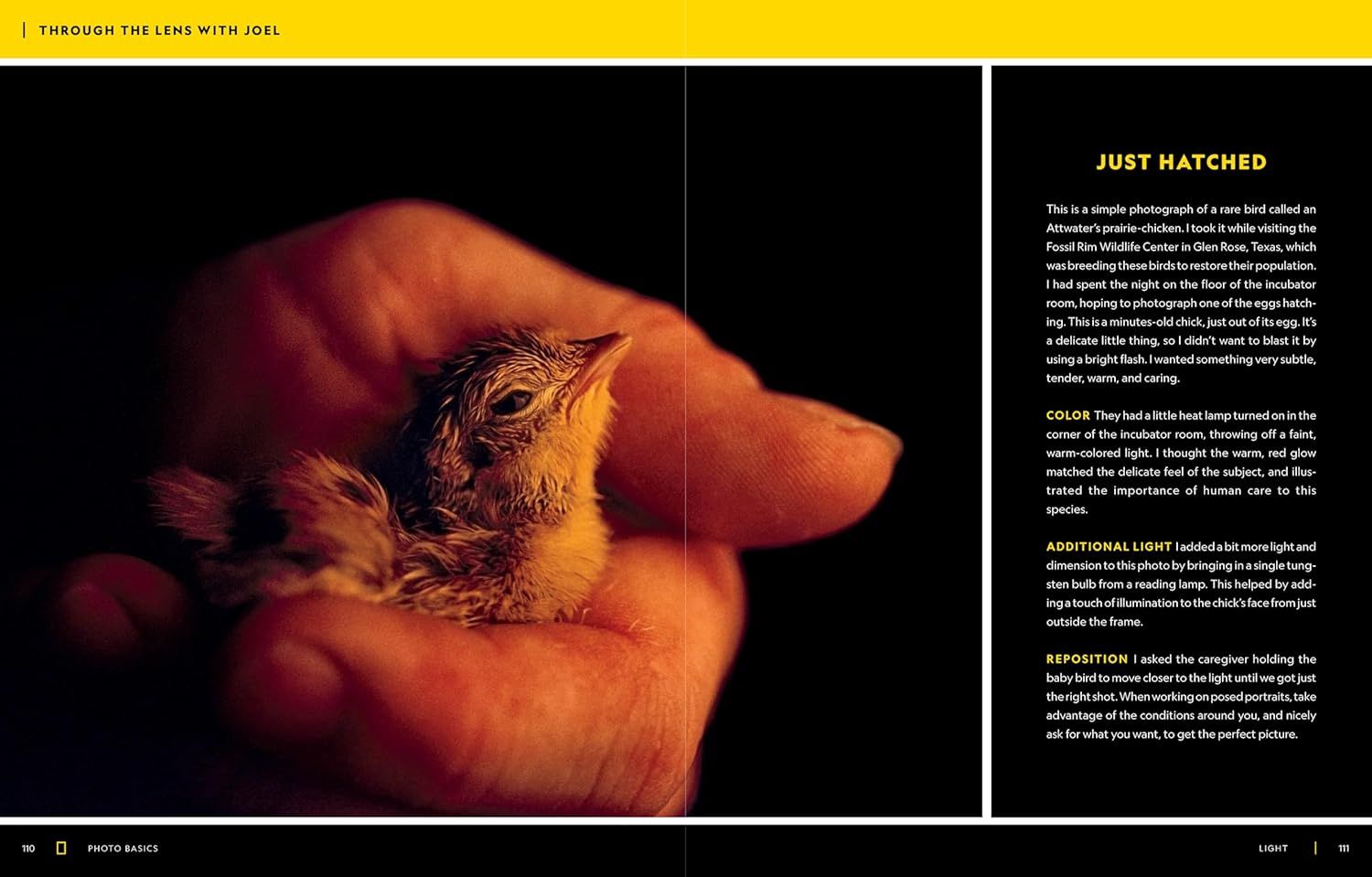 This image educates the shopper on photography techniques, specifically how to use color, additional light, and repositioning to capture delicate subjects with warmth and care.