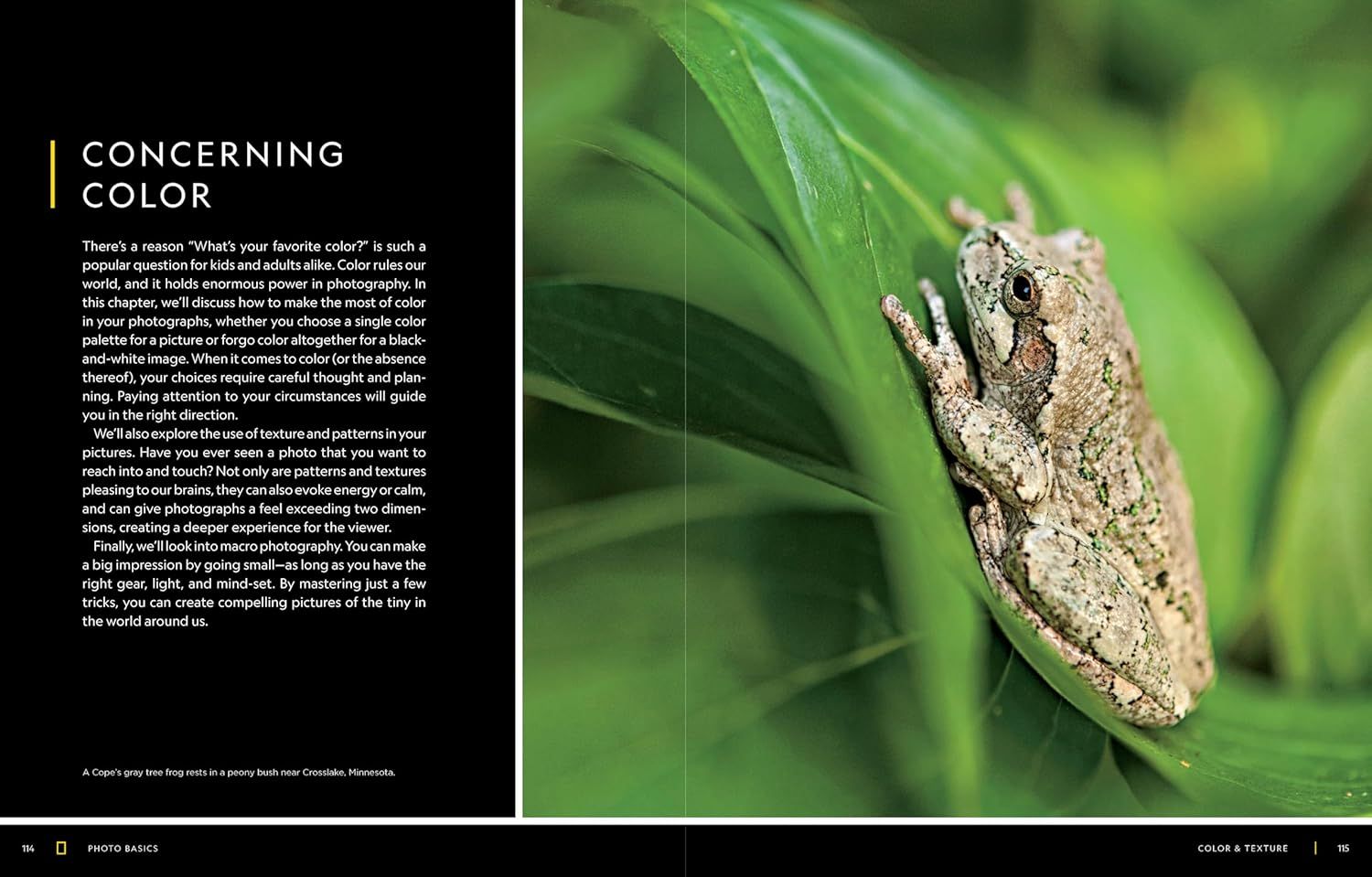 This image serves as a chapter opener for a photography book, establishing the brand's educational authority and introducing the topic of color theory in photography.