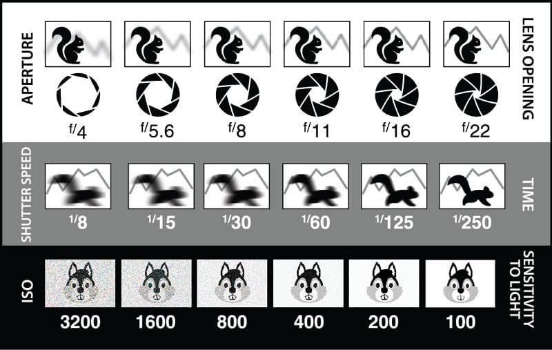 This educational chart demonstrates how three key camera settings (aperture, shutter speed, and ISO) affect image quality, helping photographers understand the technical controls and their visual…