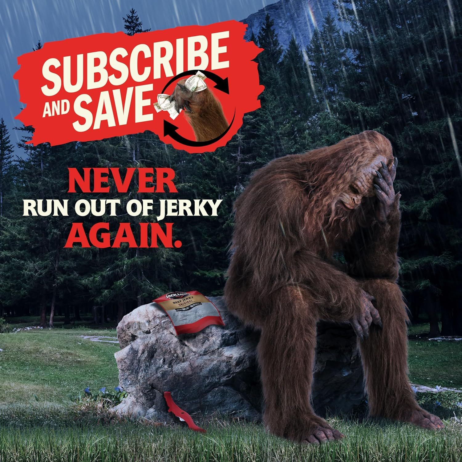 Promotes a subscription service that ensures customers never run out of jerky, using humor and a memorable visual to communicate the convenience benefit of…