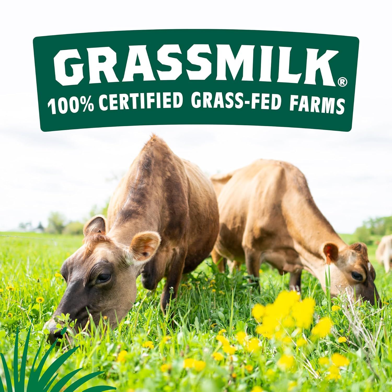 Communicates the brand's commitment to 100% certified grass-fed farms, building trust and positioning the product as ethically sourced and high-quality.