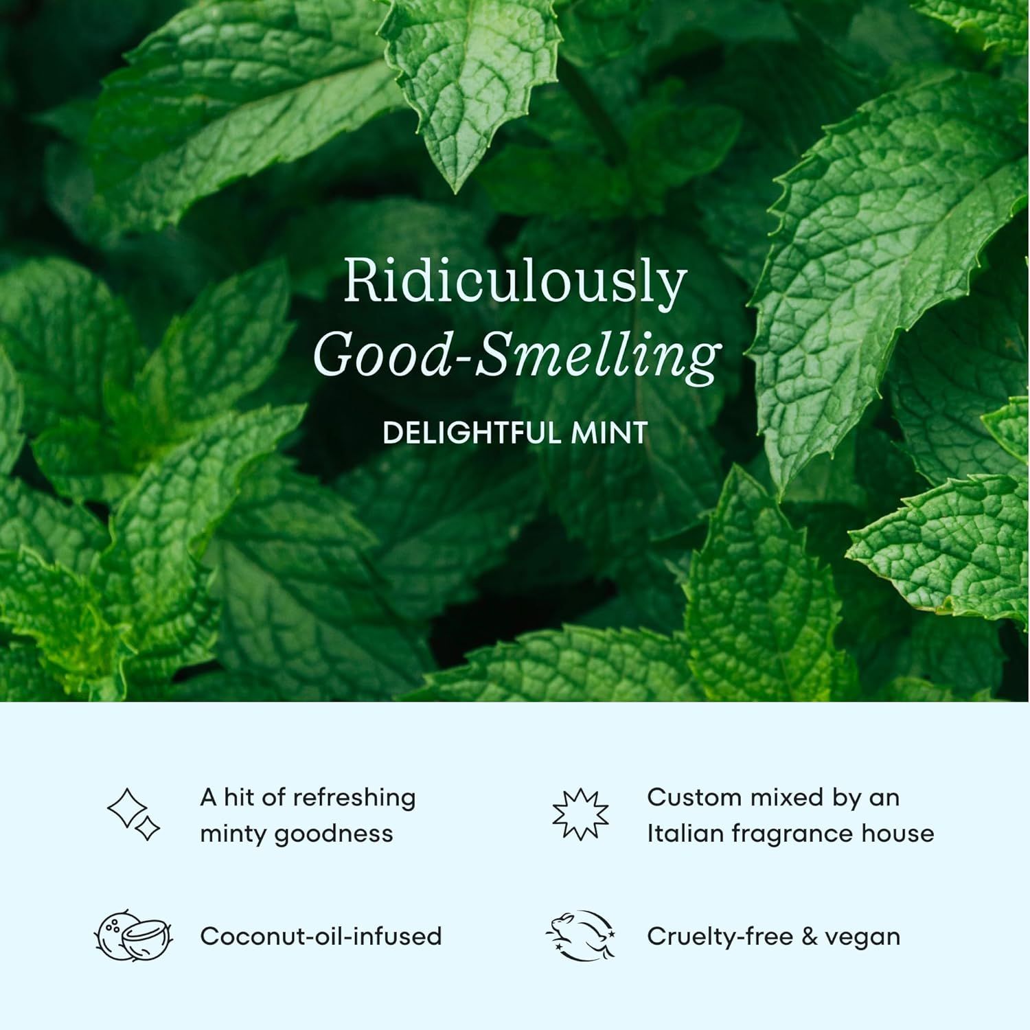 Communicates multiple selling benefits of the product including its delightful mint fragrance, premium Italian formulation, coconut oil ingredient, and…