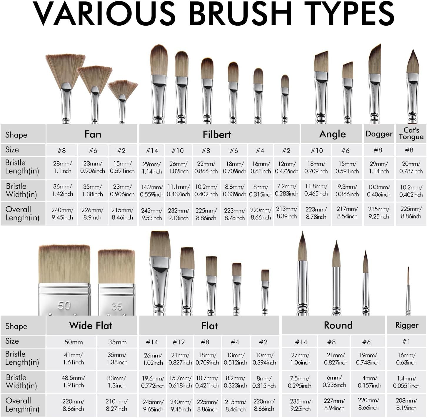 This image helps shoppers understand the full range of brush shapes and sizes available in the product line, enabling them to choose the right brush type for their specific painting needs.