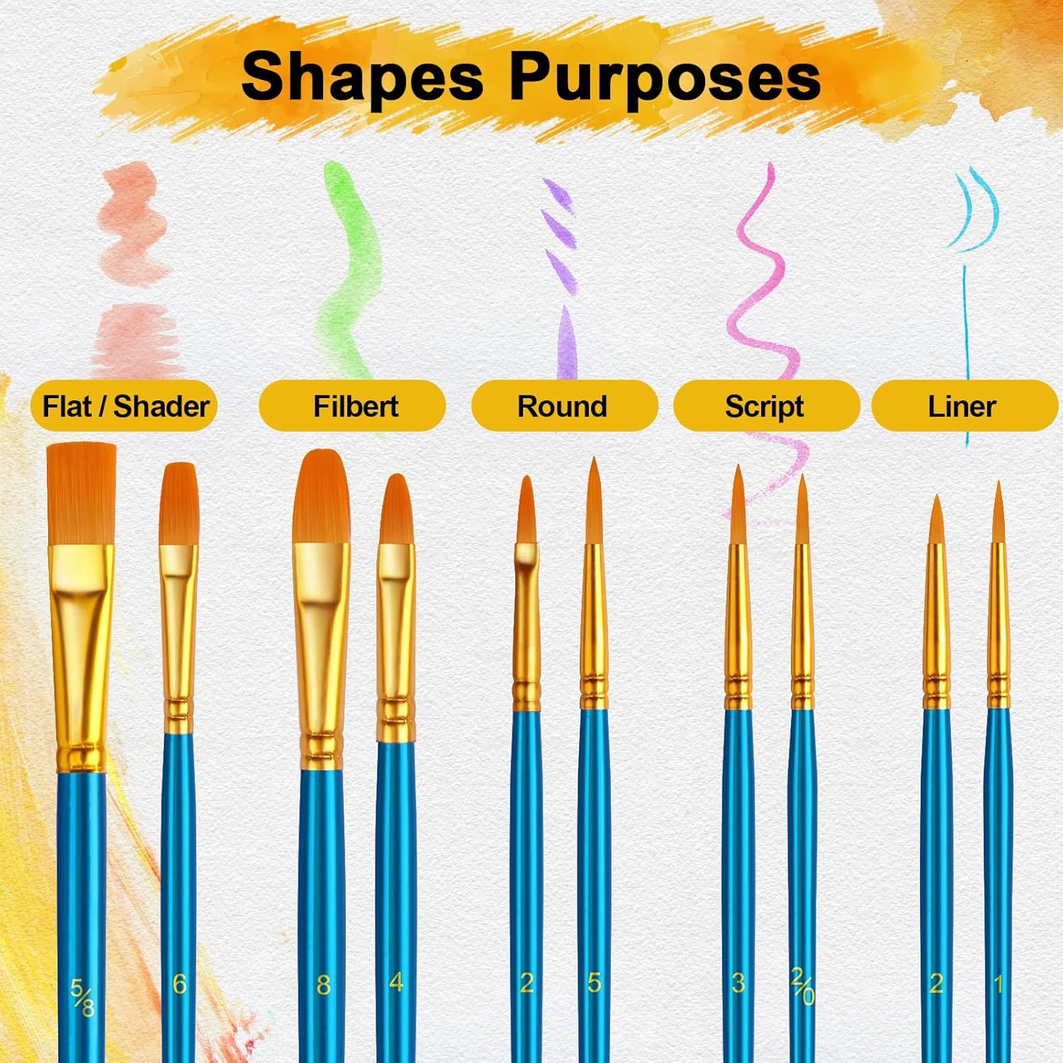 Educates shoppers on the different brush shapes included in the set and their specific artistic applications, helping them understand which brush to use for different painting techniques.