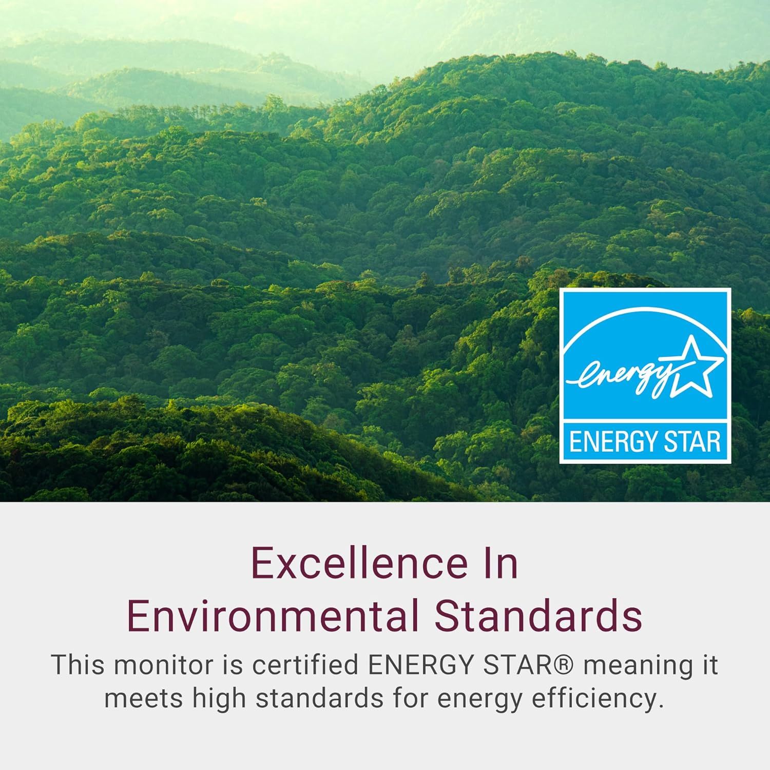 Communicates that the monitor is ENERGY STAR certified, reassuring shoppers that it meets high environmental standards for energy efficiency and is an eco-responsible choice. Highlights the…