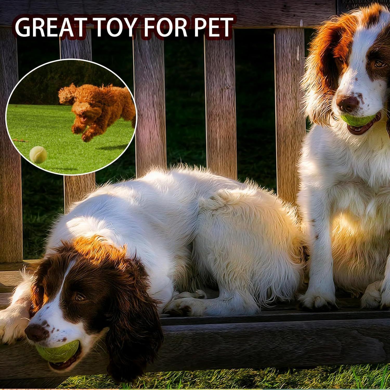 Demonstrates that the product is an engaging and enjoyable toy for pets, showing dogs actively playing with it to reassure pet owners of its entertainment value.