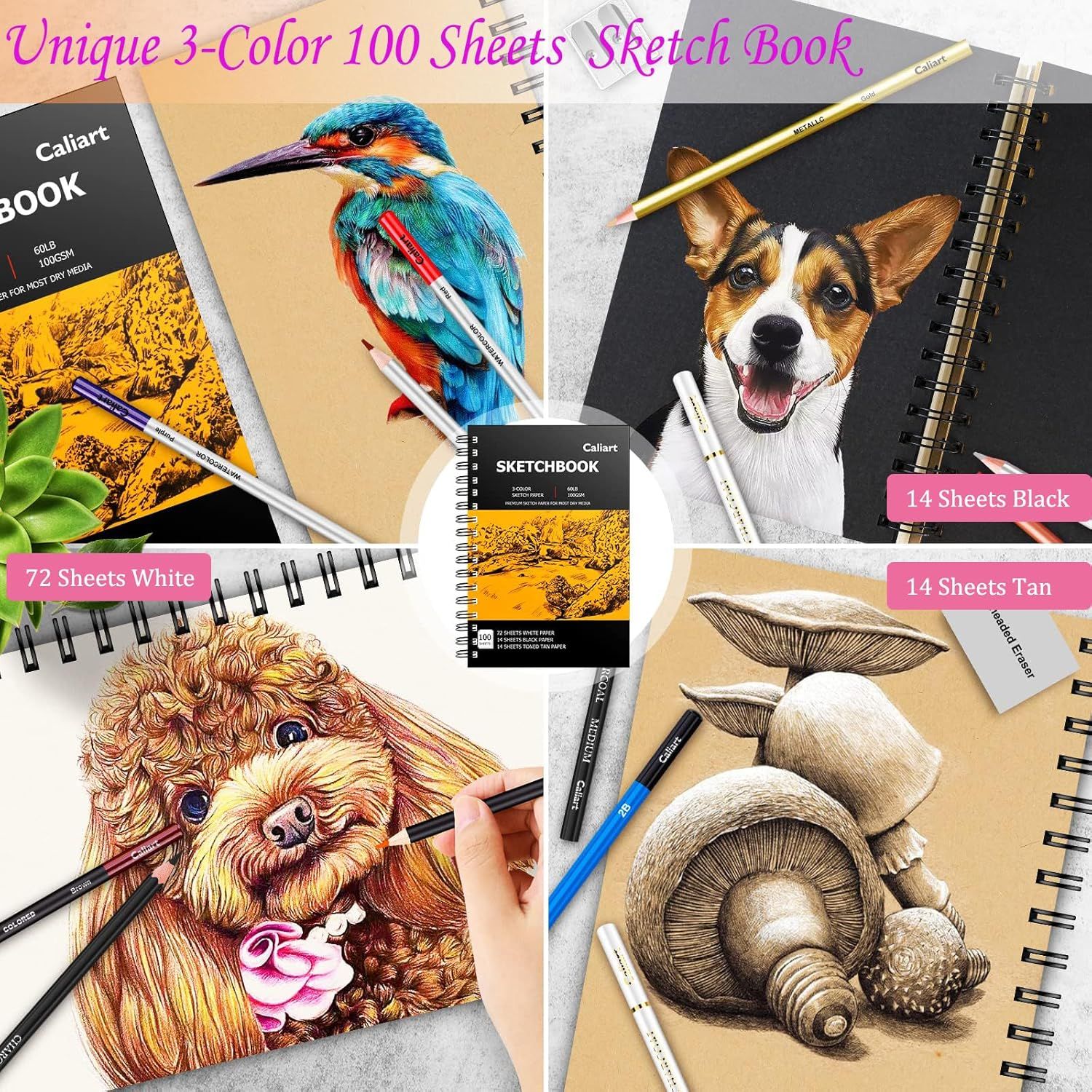 Shows the complete contents of the sketchbook set, highlighting the variety of paper colors included and demonstrating the product's versatility for different artistic techniques and subjects.…