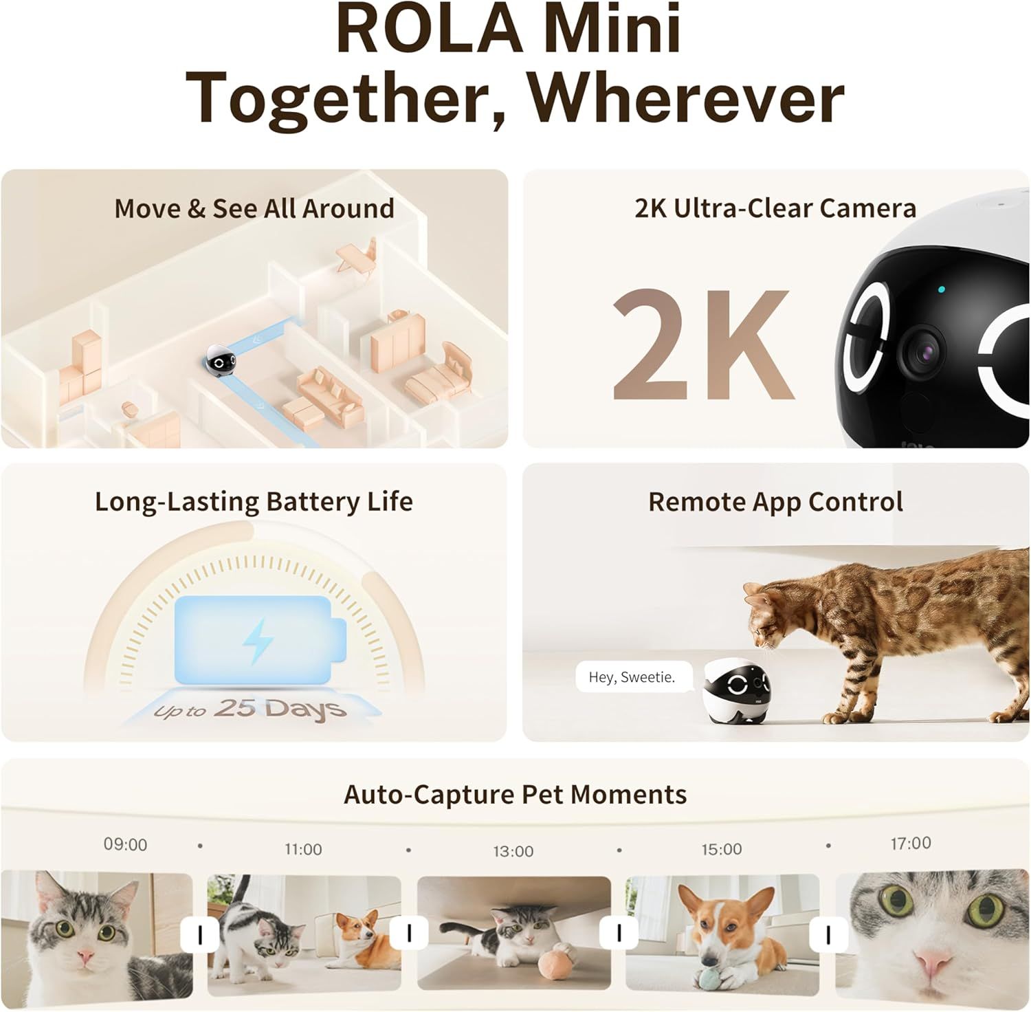 Showcases multiple key features of the ROLA Mini pet camera in a segmented layout to communicate its comprehensive capabilities for pet monitoring and…