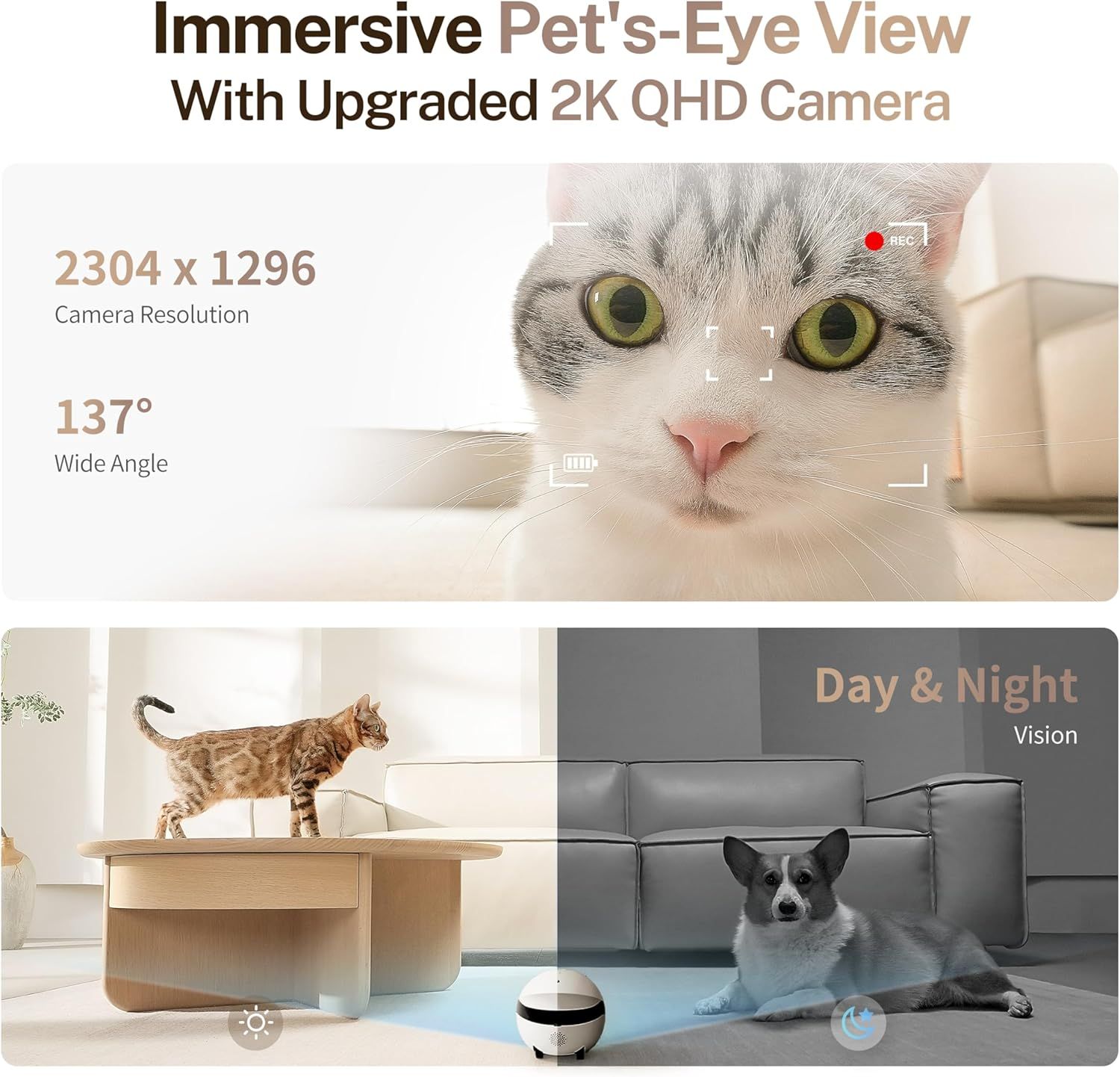 Communicates multiple technical features of the pet camera including immersive viewing angle, high resolution, wide field of view, and day/night capability to…