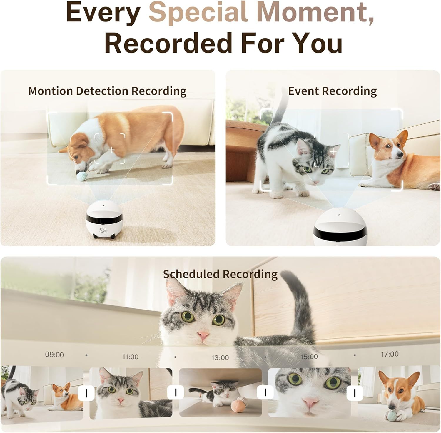 Demonstrates the three distinct recording modes of the pet camera to show shoppers the versatile monitoring capabilities for capturing every important moment…