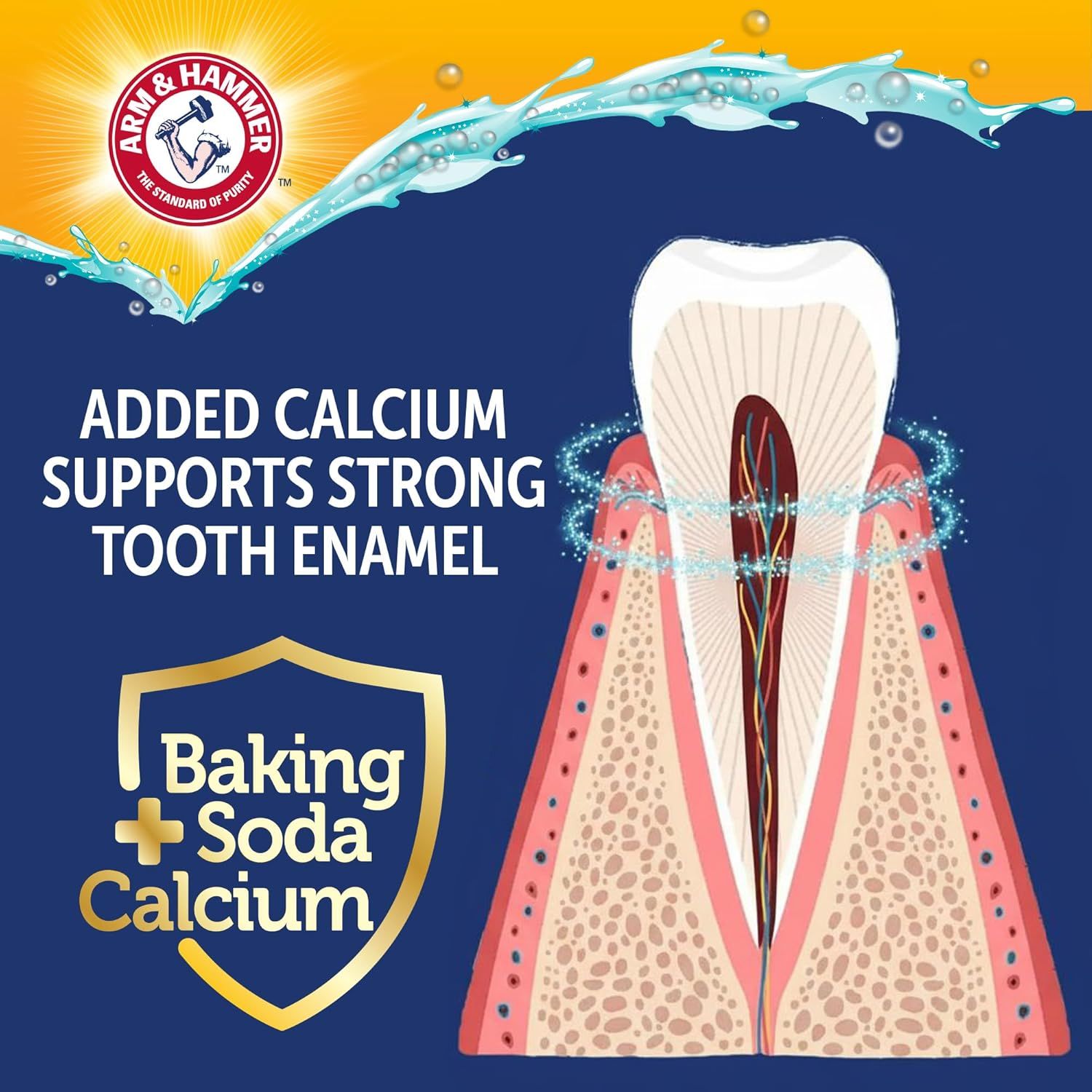 This image uses a detailed cross-section of a tooth to visually explain how the product's added calcium supports and strengthens tooth enamel, providing educational reassurance about the product's…