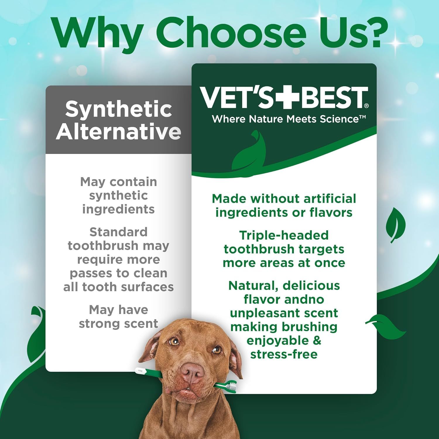 Demonstrates why Vet's Best is superior to synthetic alternatives by contrasting natural ingredients, better cleaning efficiency, and enjoyable flavor against generic competitors' drawbacks.