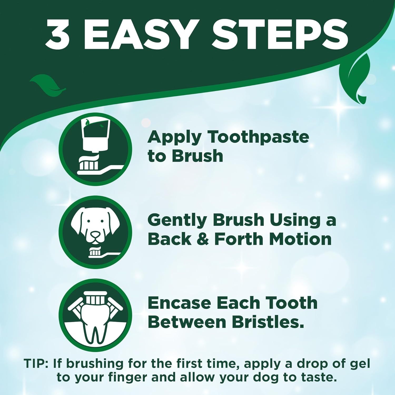 Provides clear step-by-step instructions on how to properly brush a dog's teeth with the toothpaste product, making the process easy and approachable for pet…