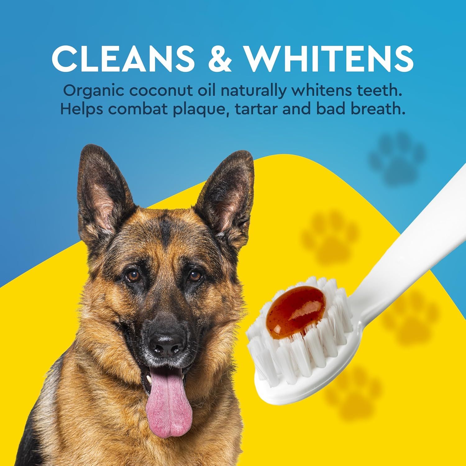 Communicates multiple oral health benefits of the coconut oil toothpaste for dogs, including whitening, plaque/tartar reduction, and breath freshening to…