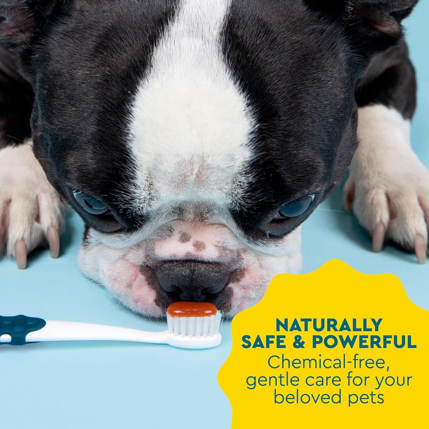 Reassures pet owners that the product is naturally safe and powerful, free from harsh chemicals, providing gentle yet effective care for their pets. Communicates the core benefit of natural,…