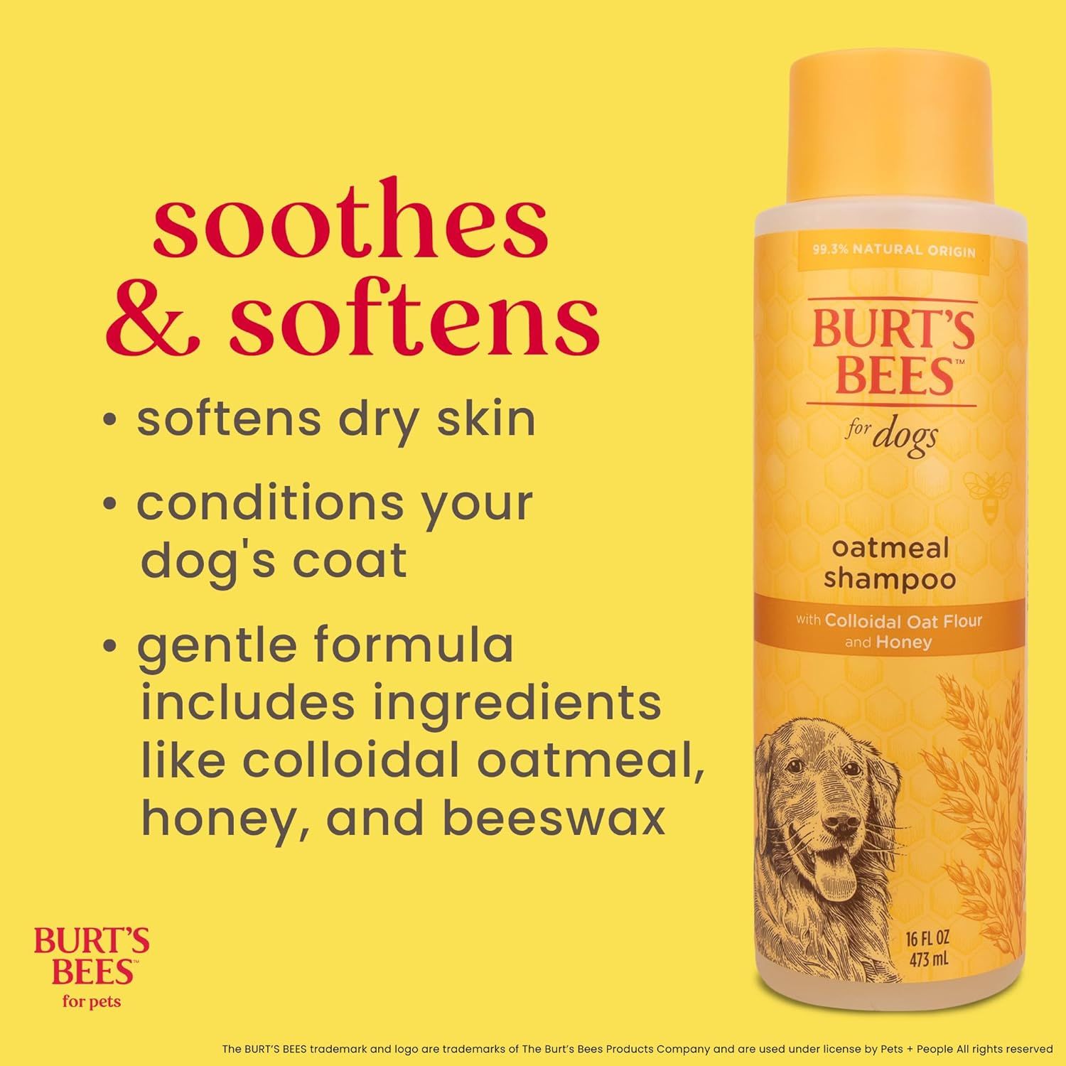 Communicates multiple distinct benefits of the dog shampoo—soothing and softening dry skin, conditioning the coat, and using a gentle natural formula—to…