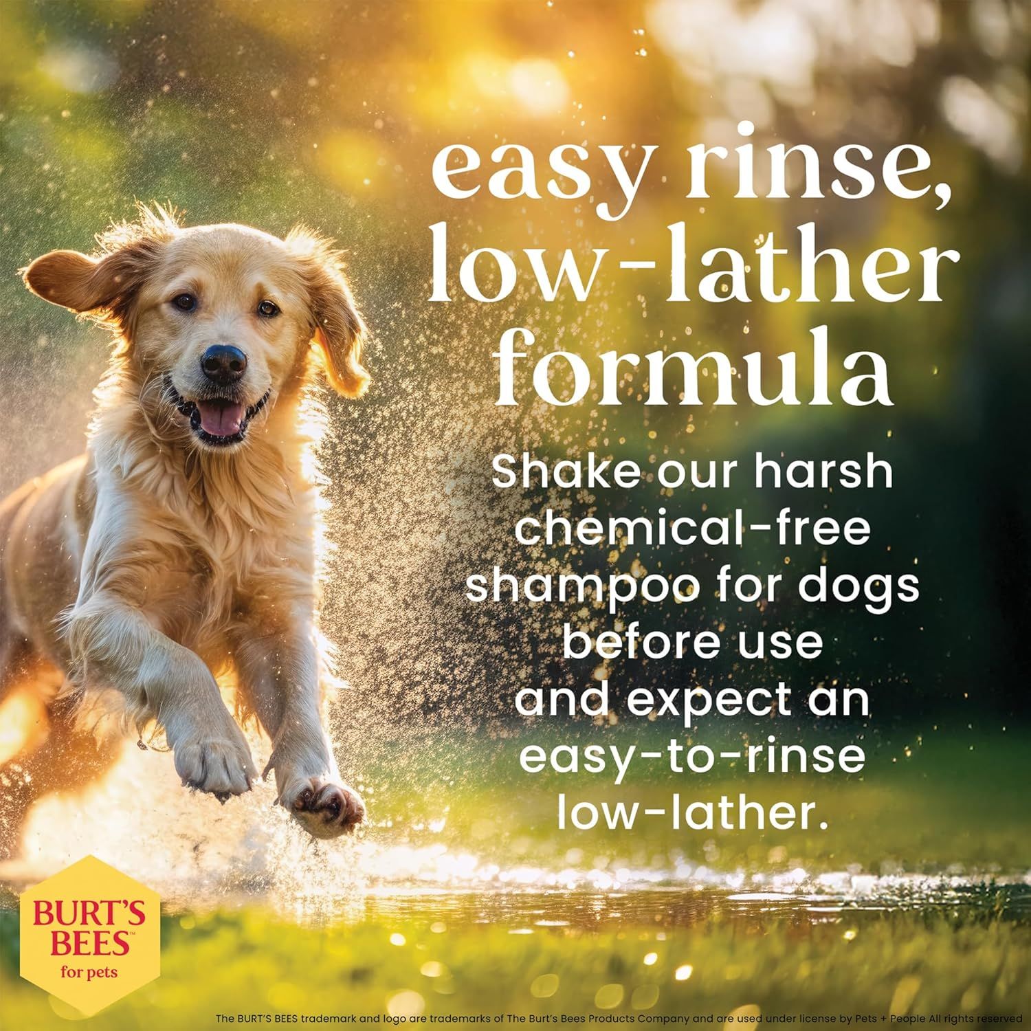 Communicates the product's easy-to-use, low-lather formula that is gentle and chemical-free, reassuring pet owners that bath time will be simpler and safer for their dogs. Highlights that the…