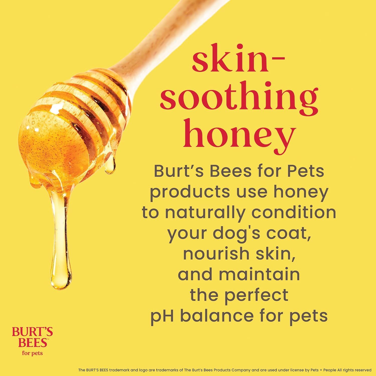 Highlights the key ingredient (honey) and its natural benefits for pet skin and coat care, reassuring pet owners of gentle, effective conditioning.