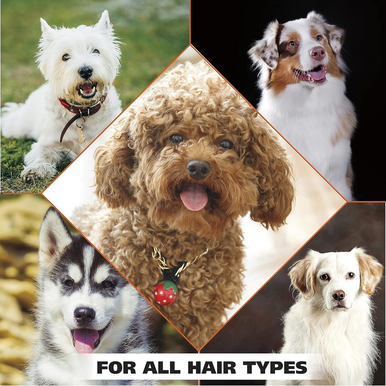 Demonstrates that the product works effectively across multiple dog breeds with different coat types, reassuring shoppers of its versatility and broad…