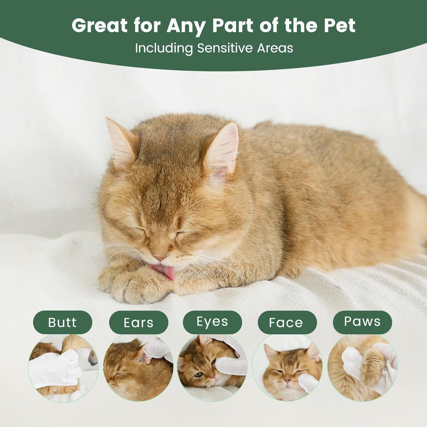 Demonstrates that the product can be safely used on multiple parts of a pet's body, including sensitive areas like ears, eyes, face, paws, and butt,…