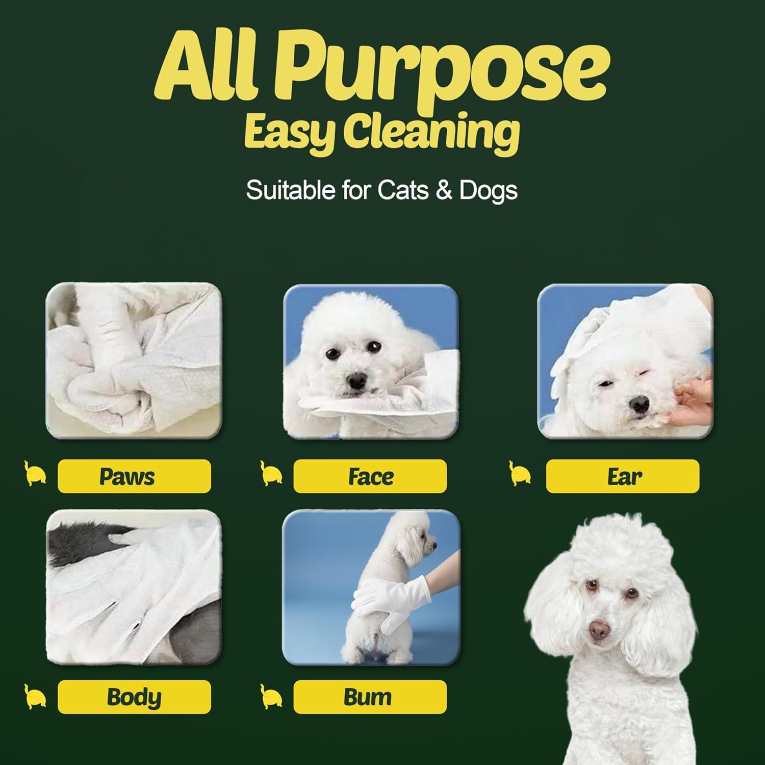 Demonstrates the versatility of the cleaning product by showing it can be used on multiple areas of cats and dogs, reassuring pet owners of its all-purpose…