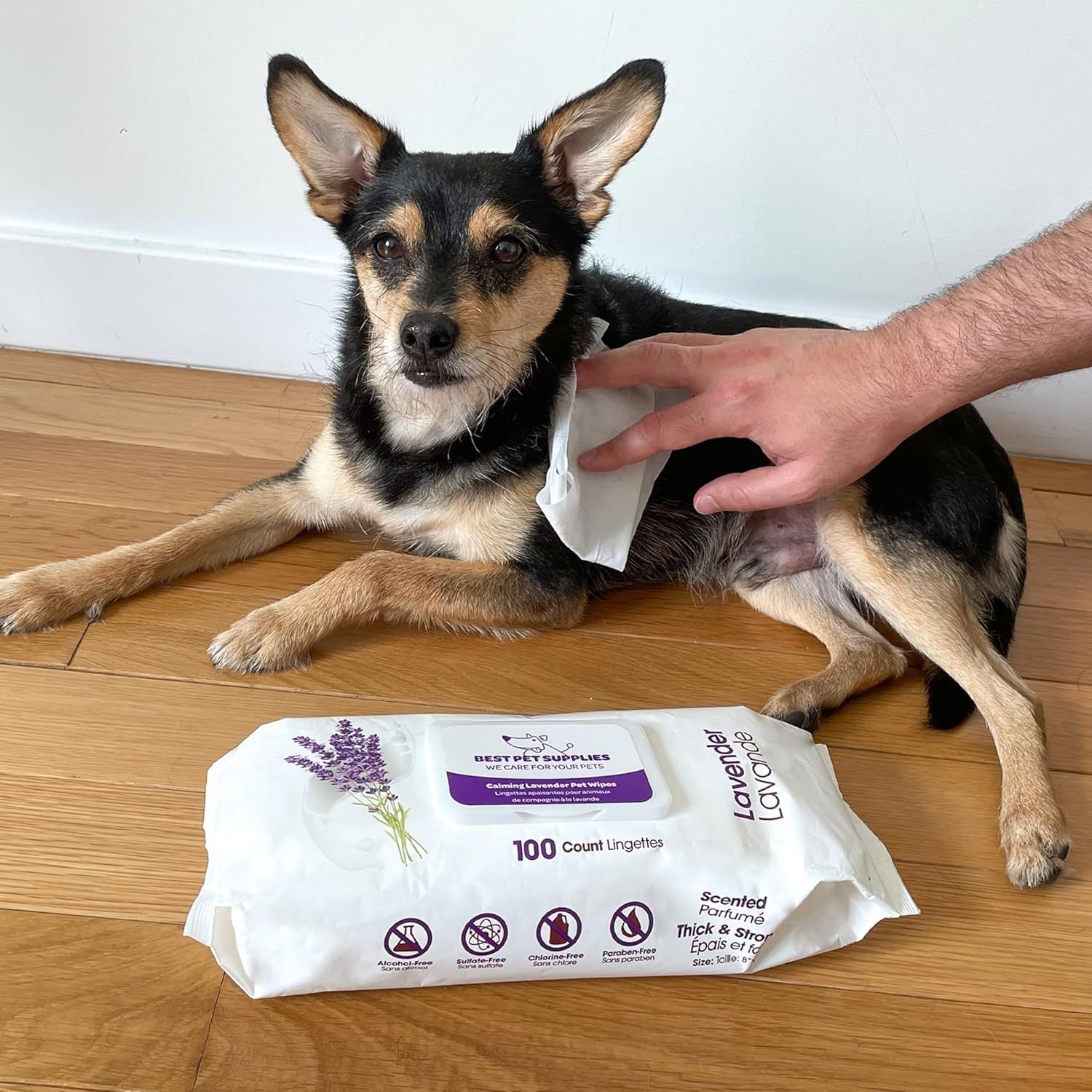 Shows authentic customer usage of the pet wipes product in a home setting with a real dog, building trust and relatability through user-generated style photography.