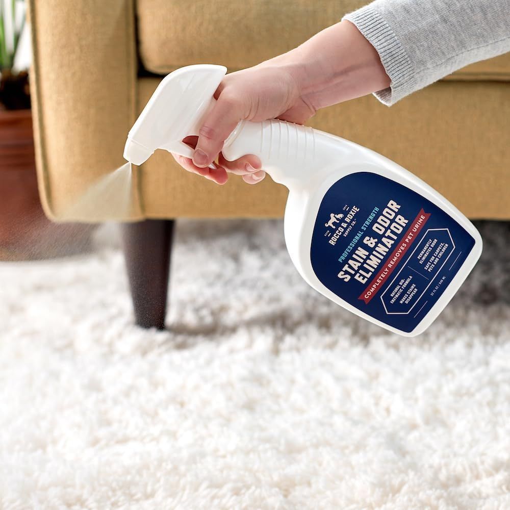 Shows the product being used in a real home environment to help shoppers visualize how they would use the stain and odor eliminator on their own carpets.