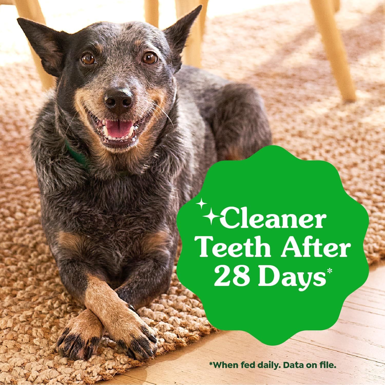 Demonstrates the product's effectiveness in improving dental health by showing cleaner teeth after 28 days of use, providing visual proof of results to reassure pet owners. Highlights the specific…