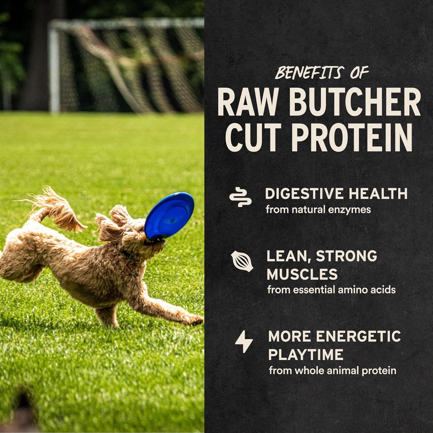 Communicates three distinct benefits of raw butcher cut protein for dogs: digestive health from natural enzymes, lean strong muscles from amino acids, and more energetic playtime from whole animal…