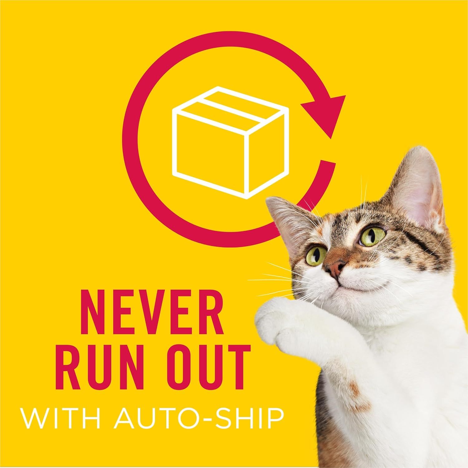 Communicates the convenience of automatic recurring delivery so customers never run out of pet supplies.
