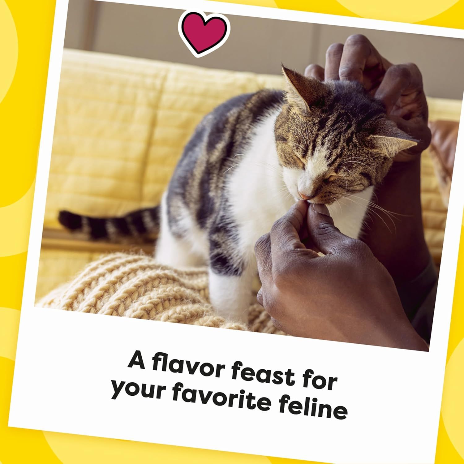 Shows the product in a real-world context with a cat being fed, creating an emotional connection and demonstrating the product's appeal to pets.