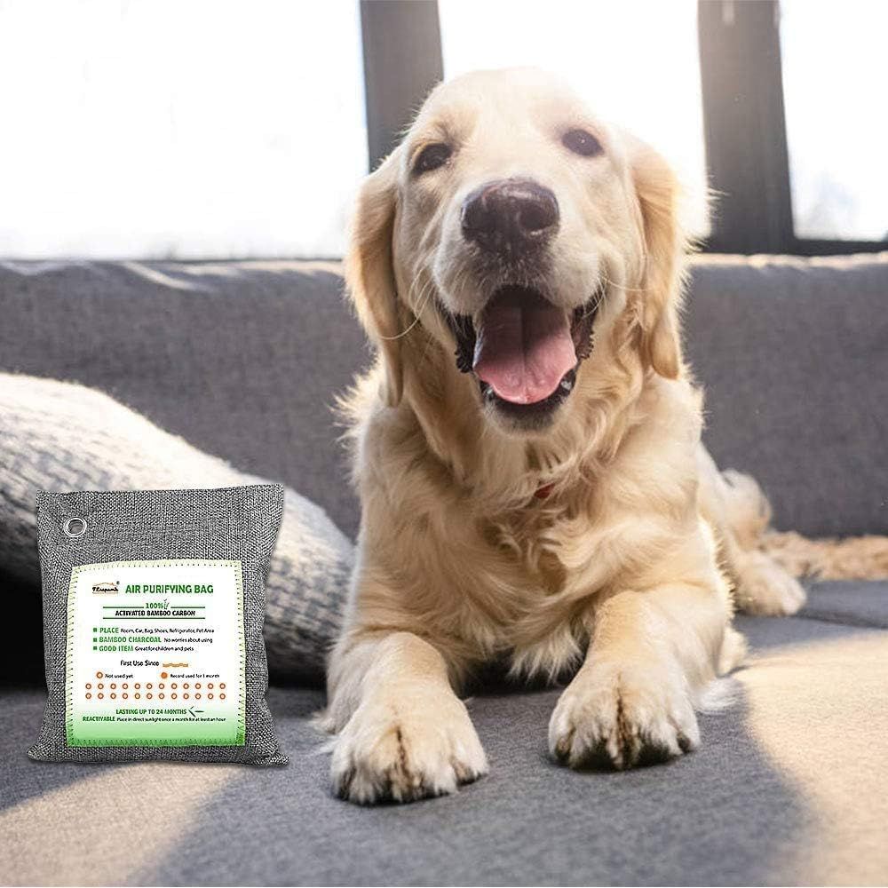 Shows the product in a real-world home setting with a pet to demonstrate its natural use context and appeal to pet owners.