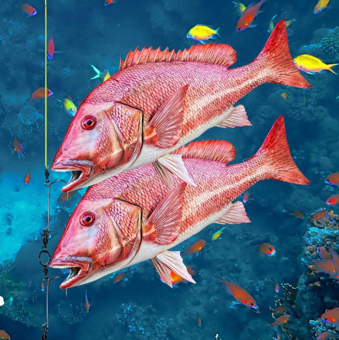 Demonstrates the impressive size and quality of fish that can be caught with this fishing product, visually proving its effectiveness and performance to appeal to fishing enthusiasts.