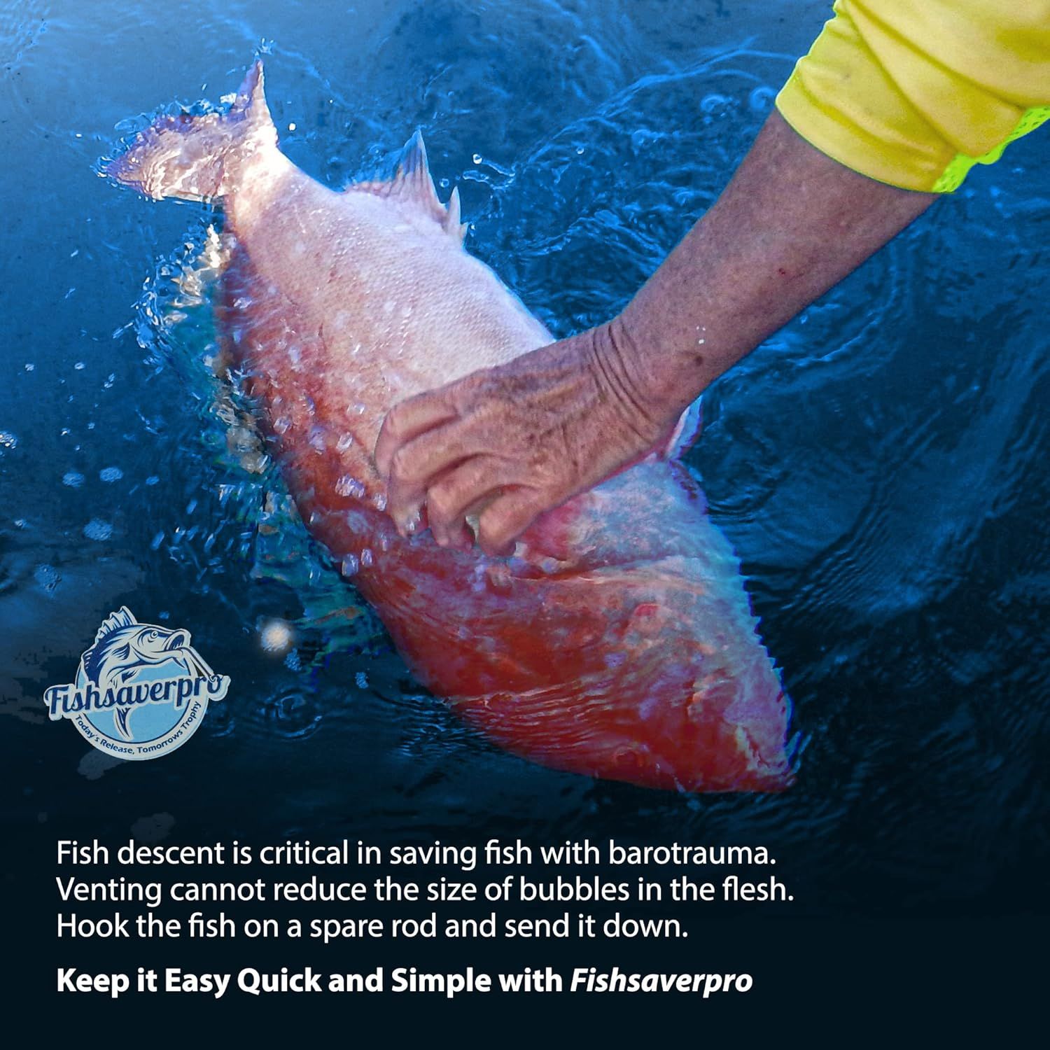 Educates anglers on the proper technique for saving fish with barotrauma by descending them rather than venting, demonstrating the brand's solution for quick and simple fish handling. Highlights the…