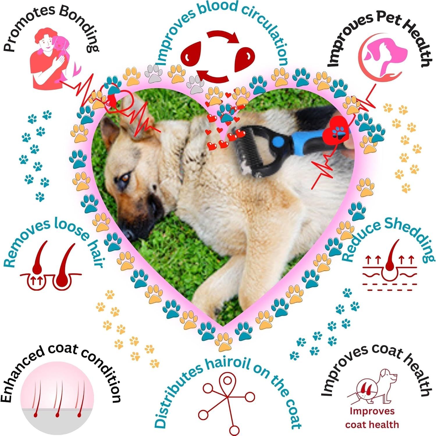 Communicates multiple distinct benefits of the pet grooming product in a segmented circular layout, showing how it supports bonding, health, circulation, shedding reduction, and coat improvement.