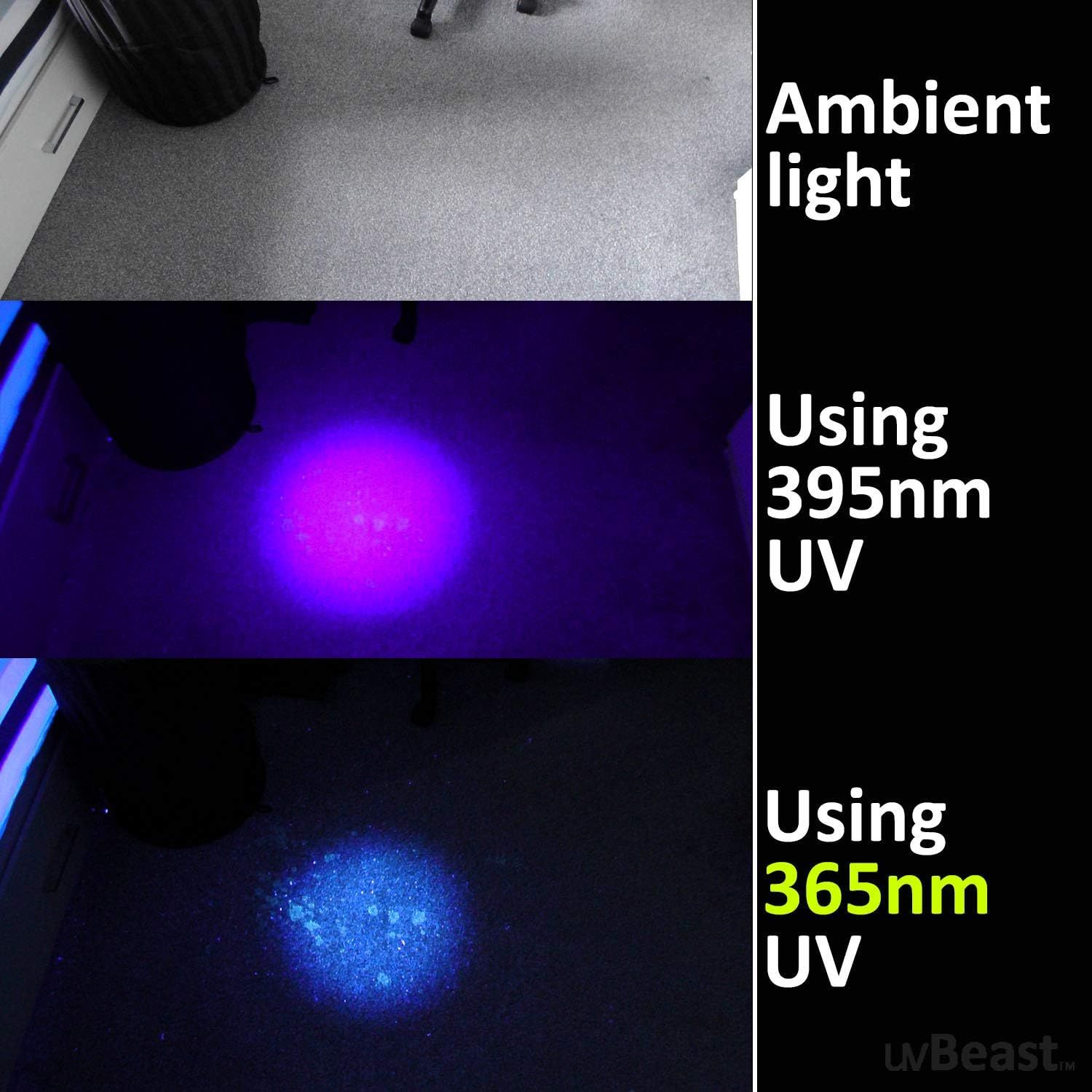 Demonstrates the superior detection capability of the 365nm UV light compared to the 395nm UV option, showing shoppers that the 365nm wavelength reveals more hidden stains or materials.
