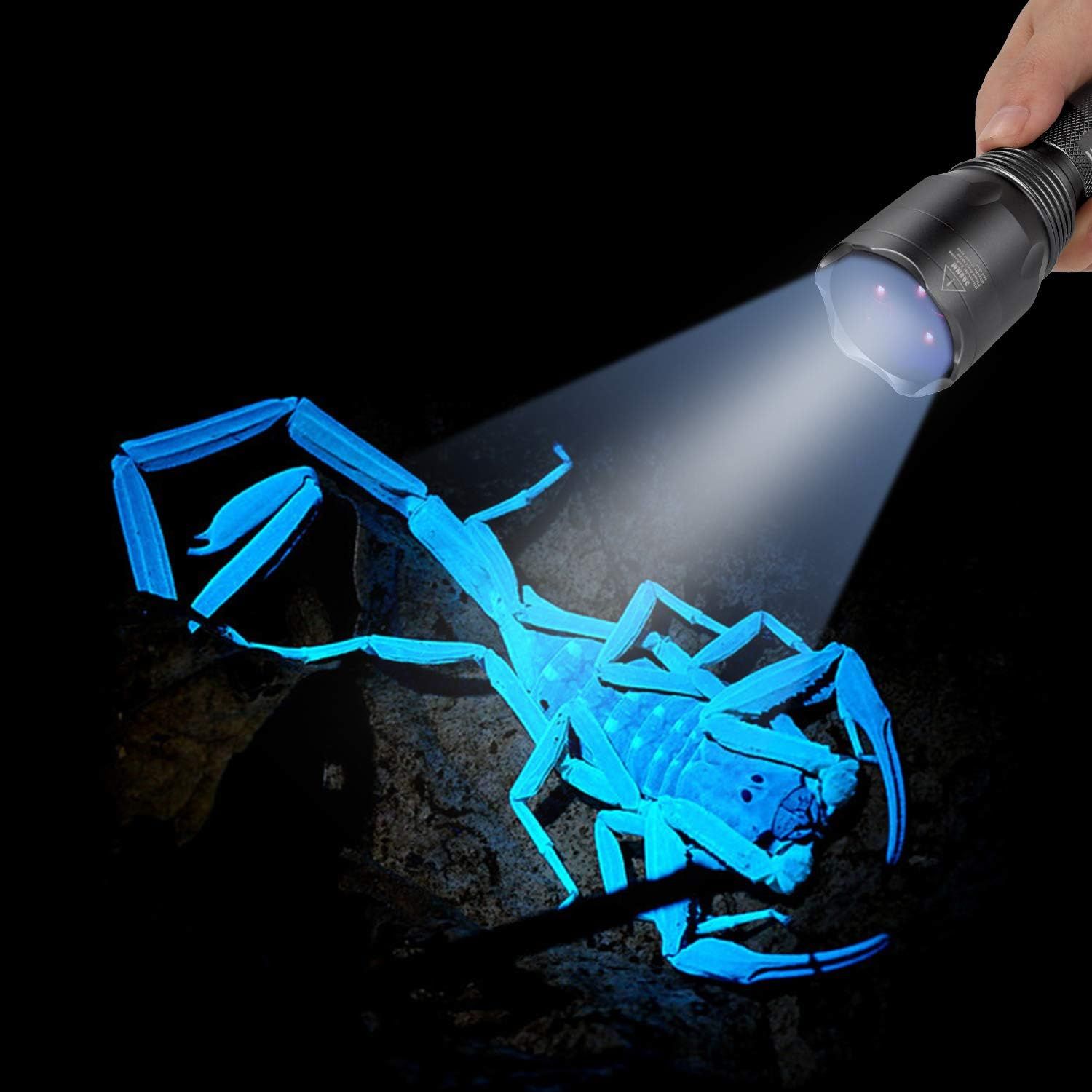 Demonstrates the flashlight's UV light capability by showing its practical application in detecting scorpions that glow under UV light, reassuring buyers of its specialized functionality.