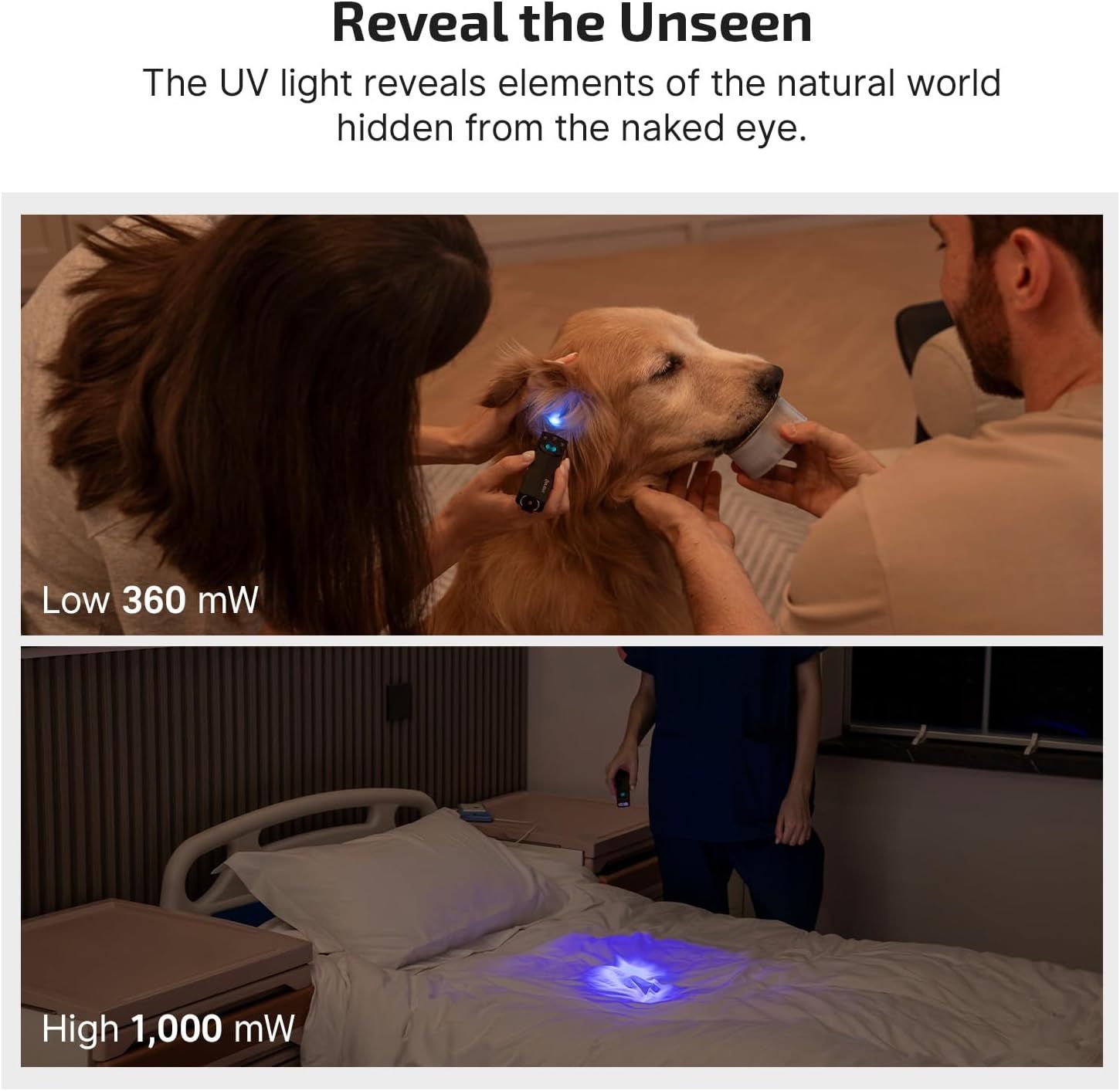 Demonstrates the versatility of the UV light by showing two distinct real-world applications: examining pets and detecting hidden stains on bedding, reassuring shoppers of its practical utility…
