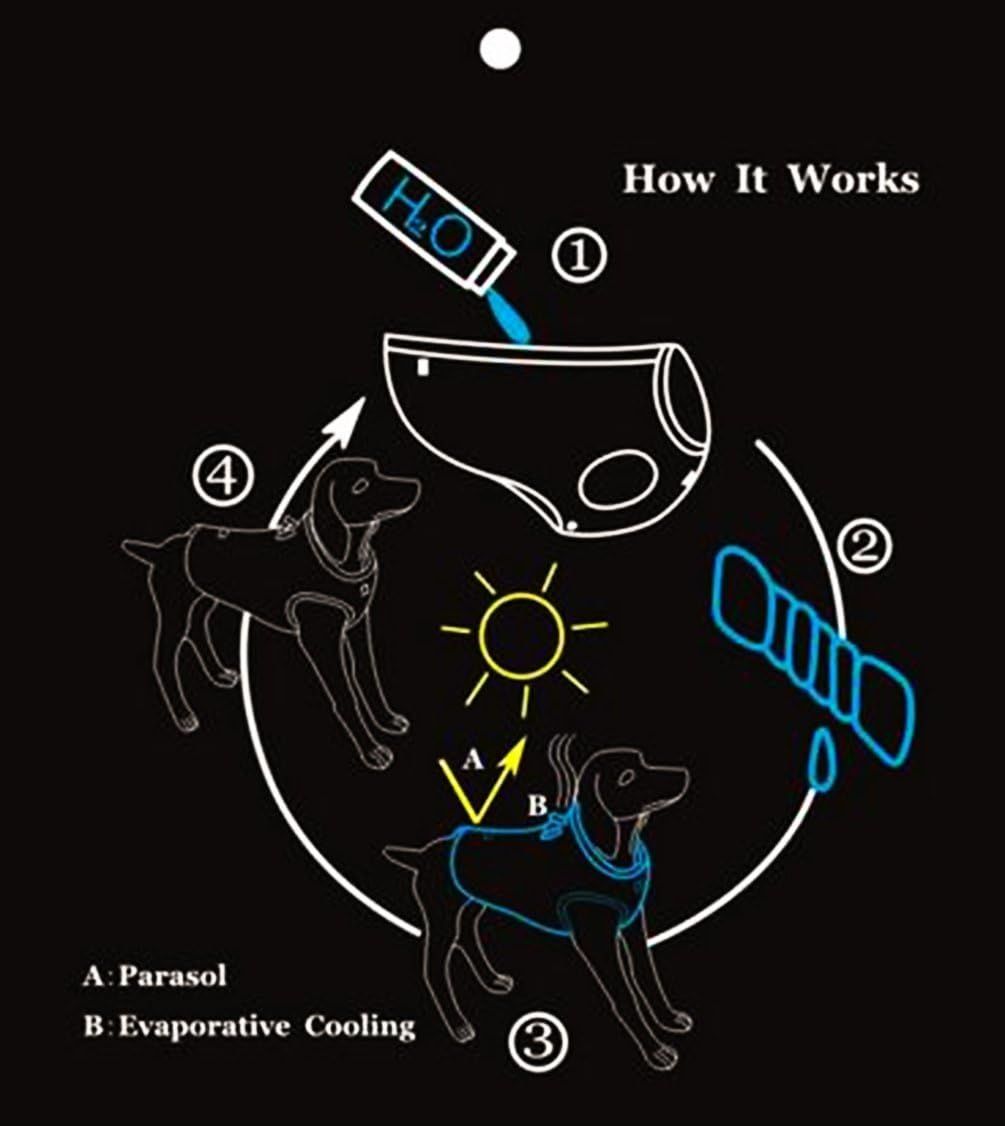 Explains the four-step process of how the cooling vest works, from wetting the vest to evaporative cooling on the dog.