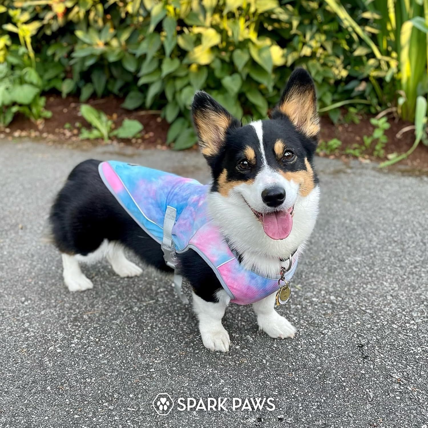 Displays the product on a dog in a natural outdoor setting with no text overlay, helping shoppers visualize the vest in everyday use.