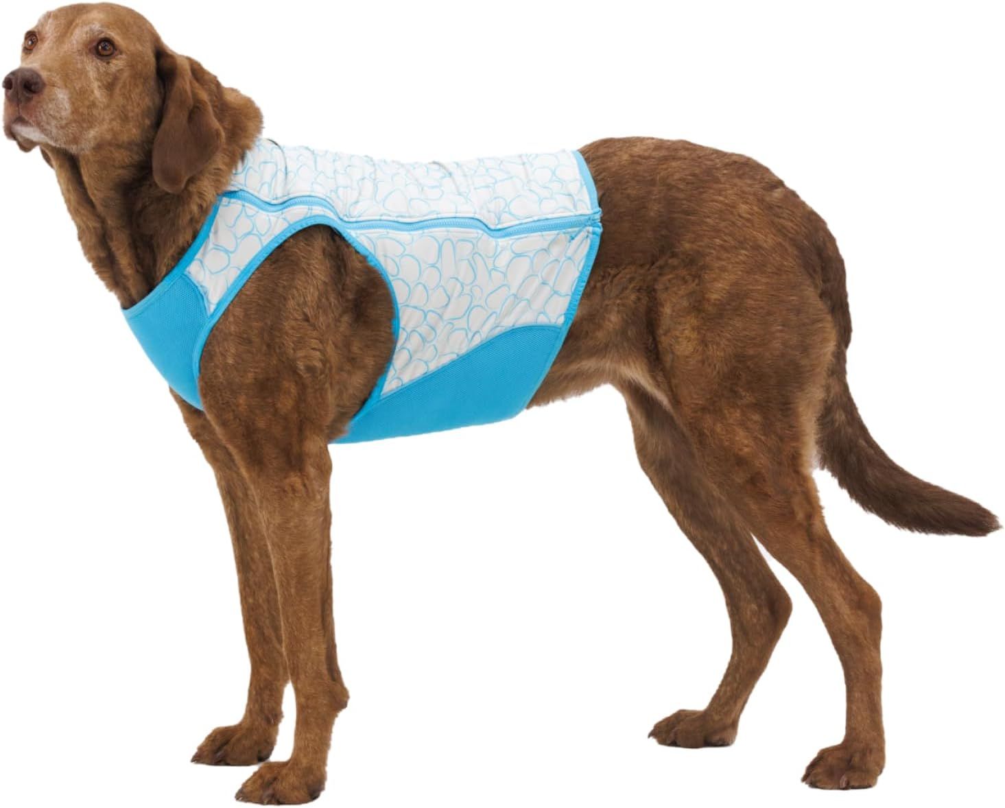 Shows the product being worn by a dog on a pure white background to help shoppers see fit and appearance.