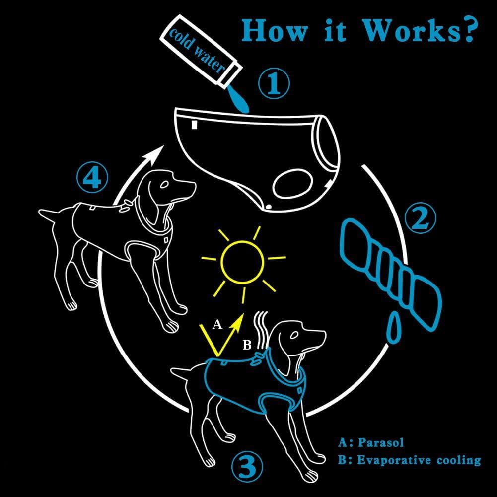 Explains the 4-step process of how the cooling product works for dogs, from adding cold water to achieving evaporative cooling, helping shoppers understand the product's functionality.