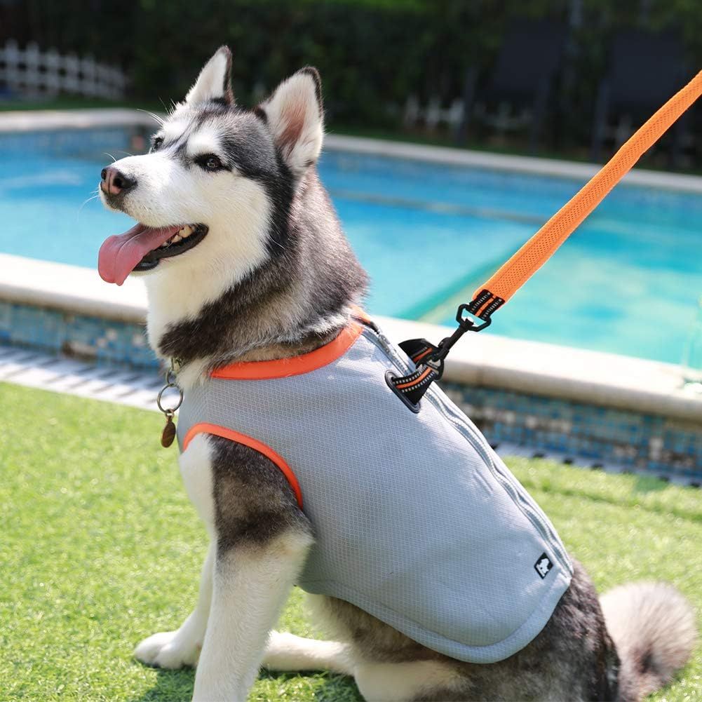Shows the product in use on a dog in a real outdoor poolside environment, helping shoppers visualize the product in context.